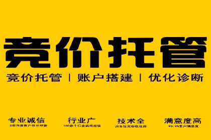 案例解读：SEM推广的秘诀与技巧